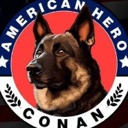 #美伊谈判推迟   
Trump Dogecoin Conan is exploding!  
Breaking news: Trump directly states that the rise in Bitcoin and crypto markets far exceeds everyone's expectations.  
This is not just a simple call; it’s an early spoiler of upcoming policy implementations, and related favorable measures are likely to be signed soon.  
Those waiting and hesitating should not wait for the market to take off before deciding whether to jump in; the advantage always belongs to those who understand the signals early. $SOL 
