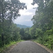 AlignWithHouAndReportBlack