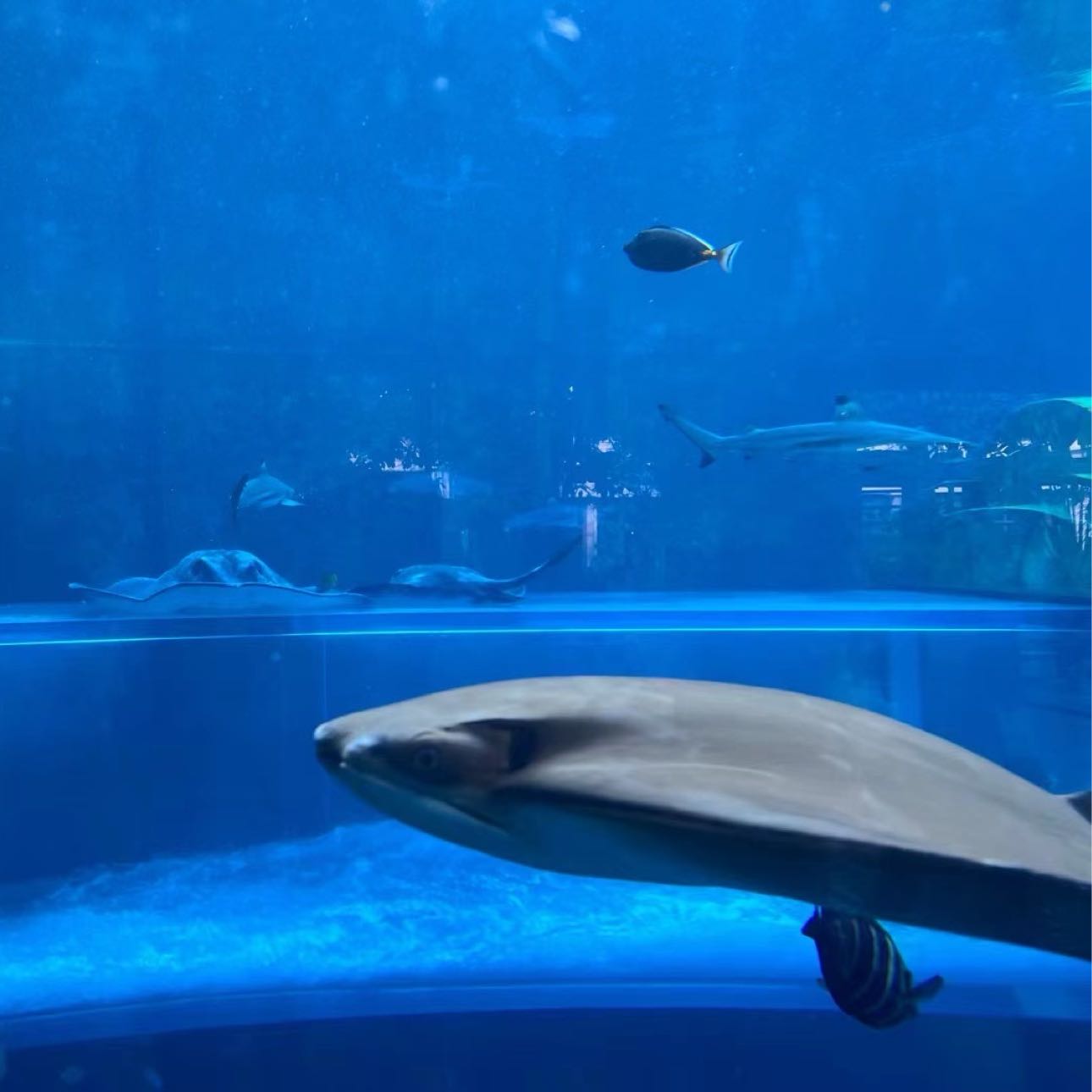 $ROBO  Making some money from Ethereum and Bitcoin, all of it has come back to you. You're invincible, kid.