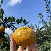 FreshlySproutedLeeks