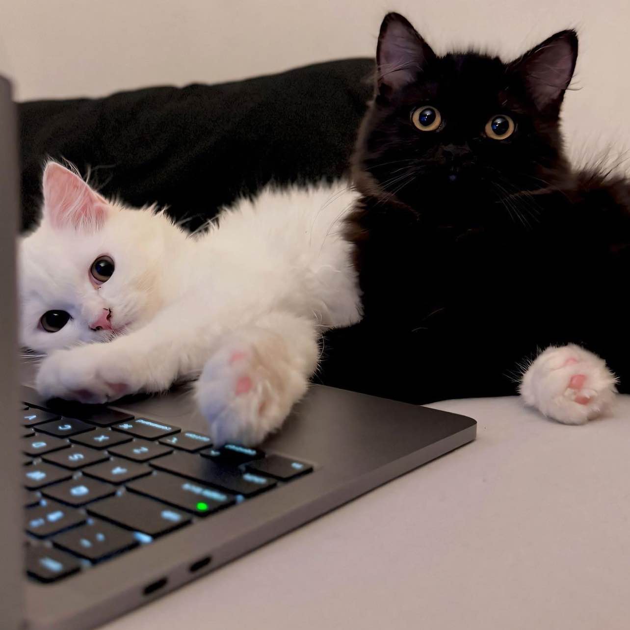 #BTC  Damn scammers, this market really isn't worth playing anymore. They've lost all shame. Just one thing to say: the market is either going up or down.