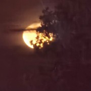 $SOL Solana's movement is always downward, and there's a possibility it will drop to $10, because it falls very quickly and doesn't rise much when it goes up.
It looks like Solana will return to its original price.