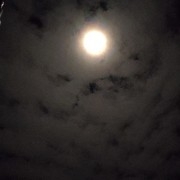 华夏最后一个少年