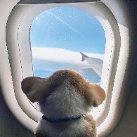 Friends taking short-term profits can go enjoy the weekend. For medium to long-term strategies focused on capital preservation, just exit. If not, wait for further notice. The sooner everyone finishes their weekend, the better. Currently on a four-game winning streak. Follow Brother Dao to help you achieve steady profits.