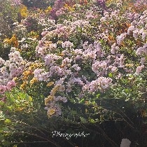 LittleExIsHappyEveryDay