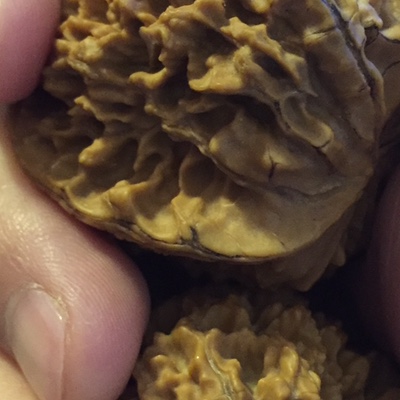 HongKongMacauTerminal