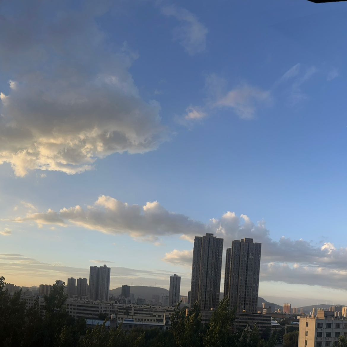 10年韭菜专业户