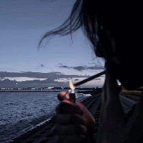 运筹帷幄的逆行者1