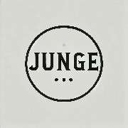 junge12371