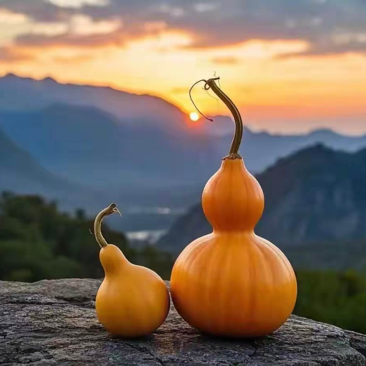 $BTC The most unpredictable and unreliable.