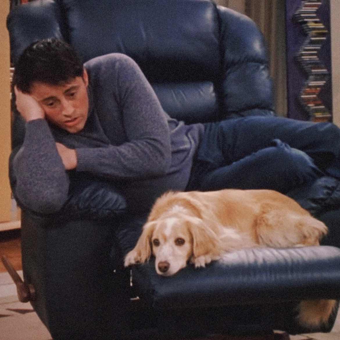 PreferTheFlowersInTheMirror.