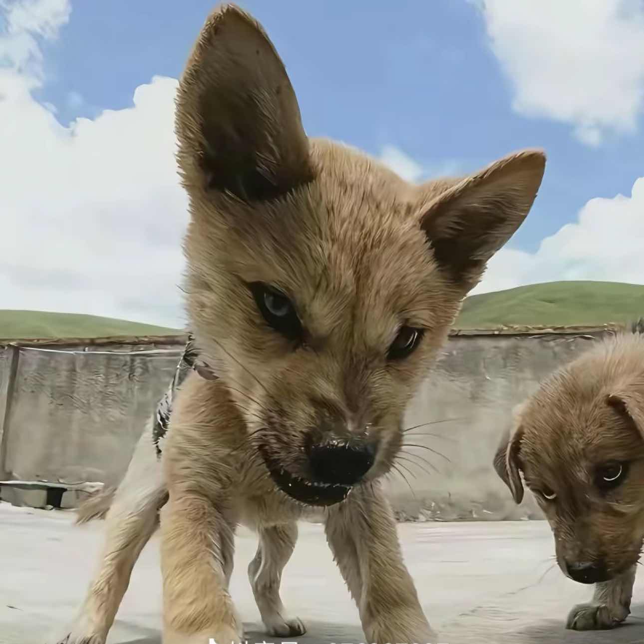 IfYouDon'tLikeIt,Don'tTellMe