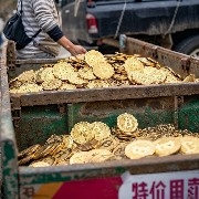 ConsistentlyProfitable