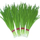 $PI  does not disclose their wallet addresses or staking plans. They post announcements daily, constantly cutting back, TMD 20 billion. Cutting you until the end of time.