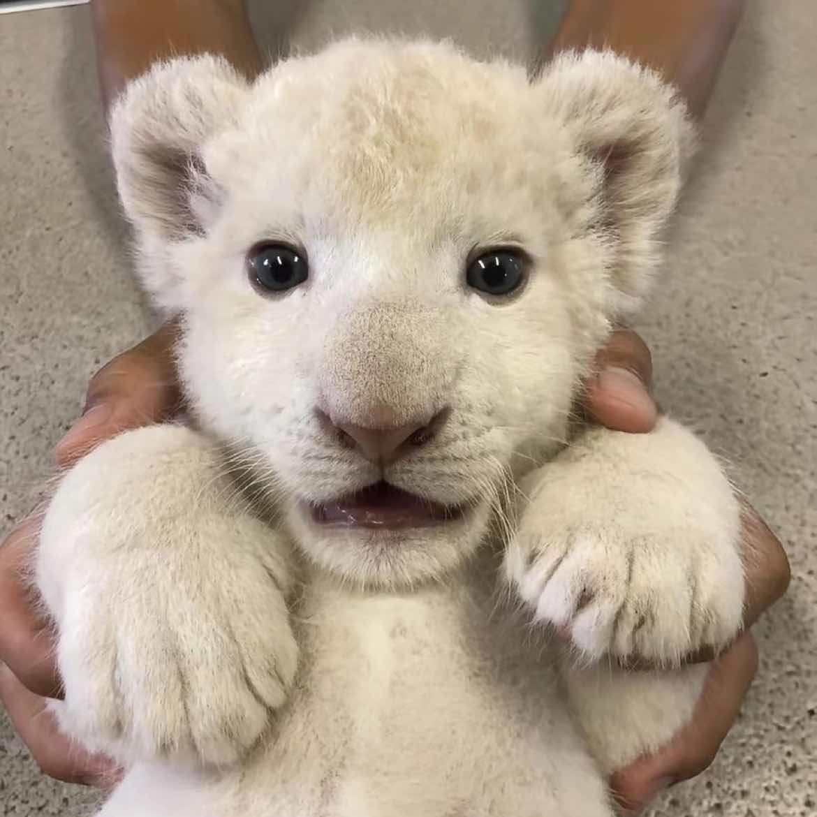 Hold the short position at $ETH , take profit around 1840 first