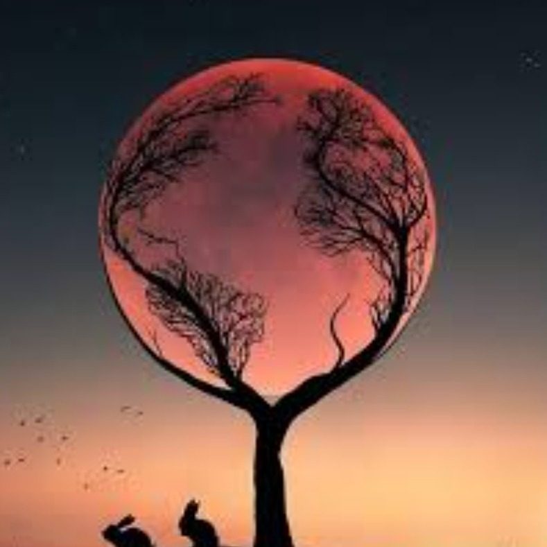 host_avatar