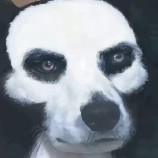 浮盈减仓亏损加仓