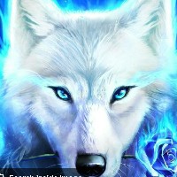 Frostwolf
