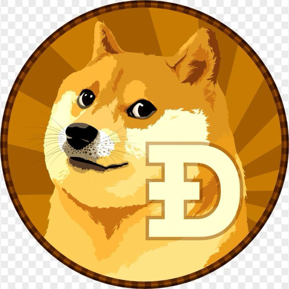 狗狗币的专属舔狗