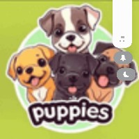 $GT $ETH $SOL 
I’ll ask just one question:
How many more times will you miss it?
DOGE:
“Too cheap. Impossible.”
SHIB:
“Just another dog coin.”
PEPE:
“What value could a frog possibly have?”
And the result?
Each one went crazier than the last.
Now the market has another:
$PUPPIES 🐶
Nearly three years of community consensus.
Approximately 25.8k holder addresses.
An ETH Meme.
With no traditional project team story to rely on,
it instead makes the community the core.
The craziest bull market
has never been about everyone knowing the answer.
It’s about a few people betting on a story first.
You’ve already missed DOGE, SHIB, and PEPE.
This time,
at least do some research on $PUPPIES.
Don’t wait until it rises to ask:
“Where can I buy it?”
0xcf91b70017eabde82c9671e30e5502d3
12ea6eb2
#Gate增速全球第一 #金價逼近4400美元創七週高點 #Gate廣場中秋團圓局 