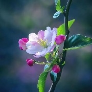 Sol is trading around support and resistance levels for short and long positions.
If 125 is not broken, a small retracement occurs, and the market continues to rise,
Resistance levels: 127-130-134
Support levels: 123-120-117-114
Short at resistance levels, go long at support levels.
Stop loss no more than two points.
Total of 5%.