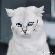 GettingRichIsTheTrut