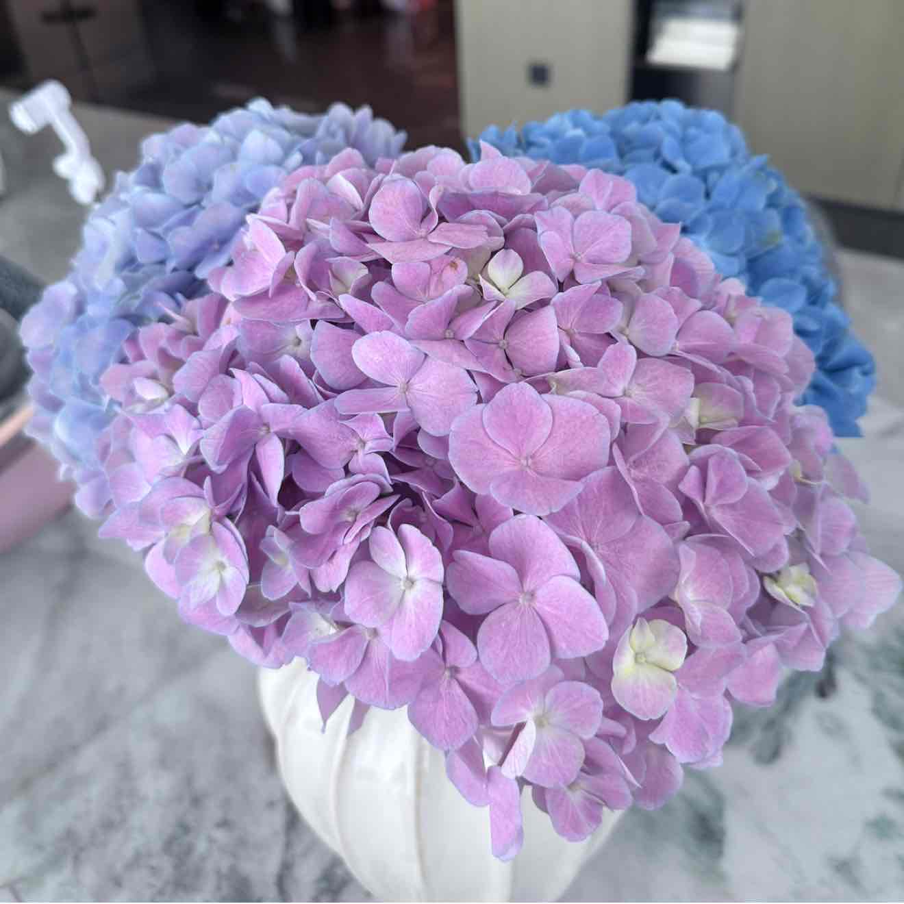 JellyIsJustACuteHakimi.