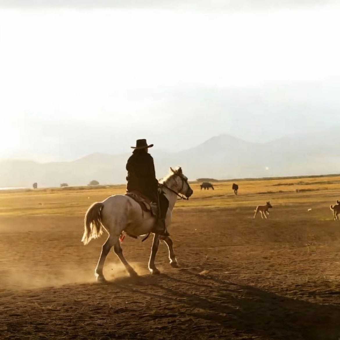 $ETH  The big one is here!!
This wave of long positions that I was optimistic about has successfully taken profit and exited. Is there anyone who hasn't caught up? Such an obvious upward trend, the followers who caught it have already taken profit and exited with 1,000 USD.
For those still confused and unsure when to enter the market, come to the homepage to find Brother Yi.