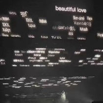 别辜负眼前季节