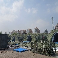 #ETH  Fall, you idiot