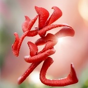 $SOL  This SOL can't play ball.