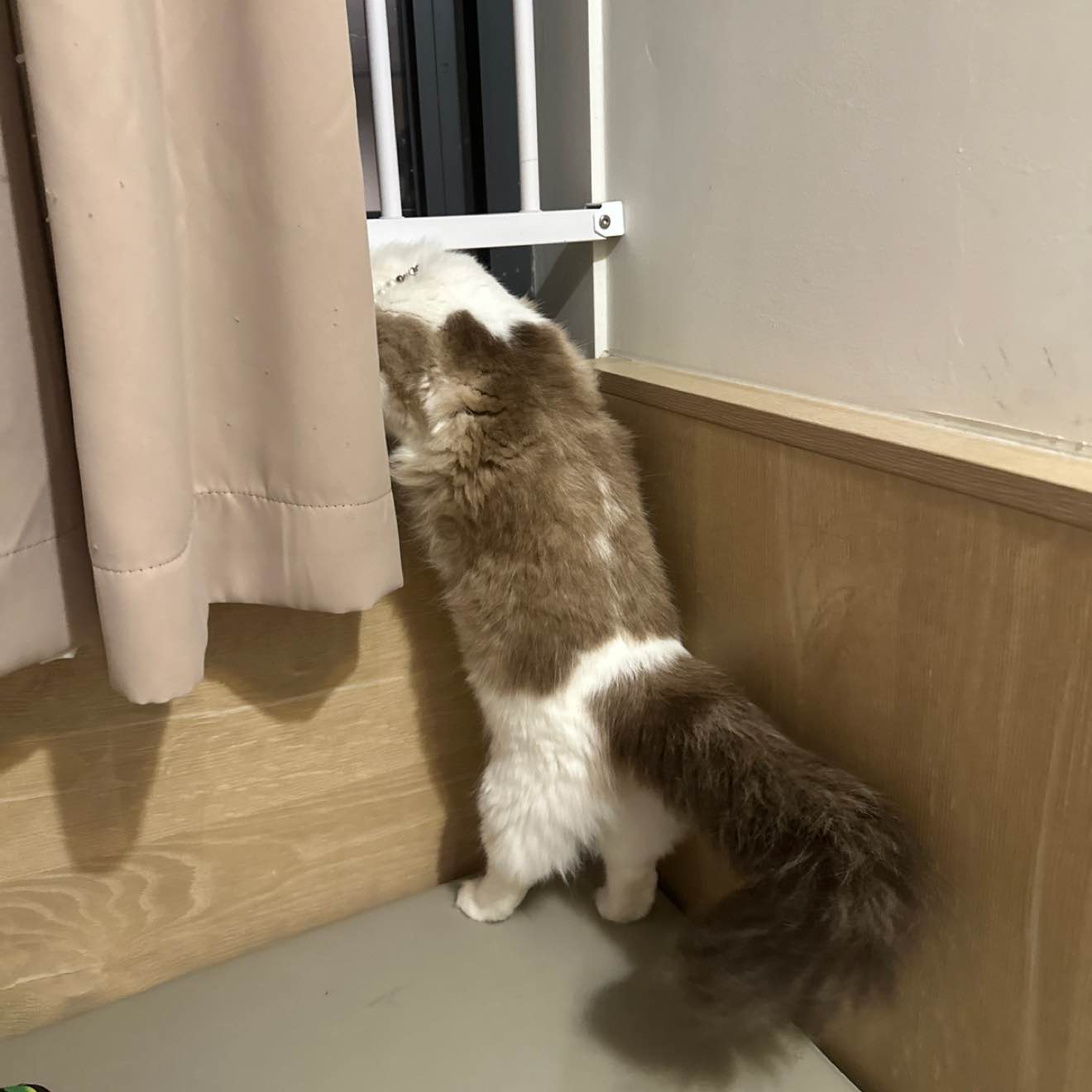 05女大勇闯币圈