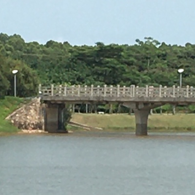 IfYou_reAfraidOfDyin