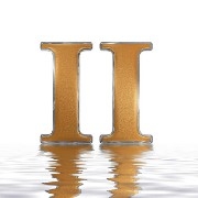 狗头葫芦小金刚