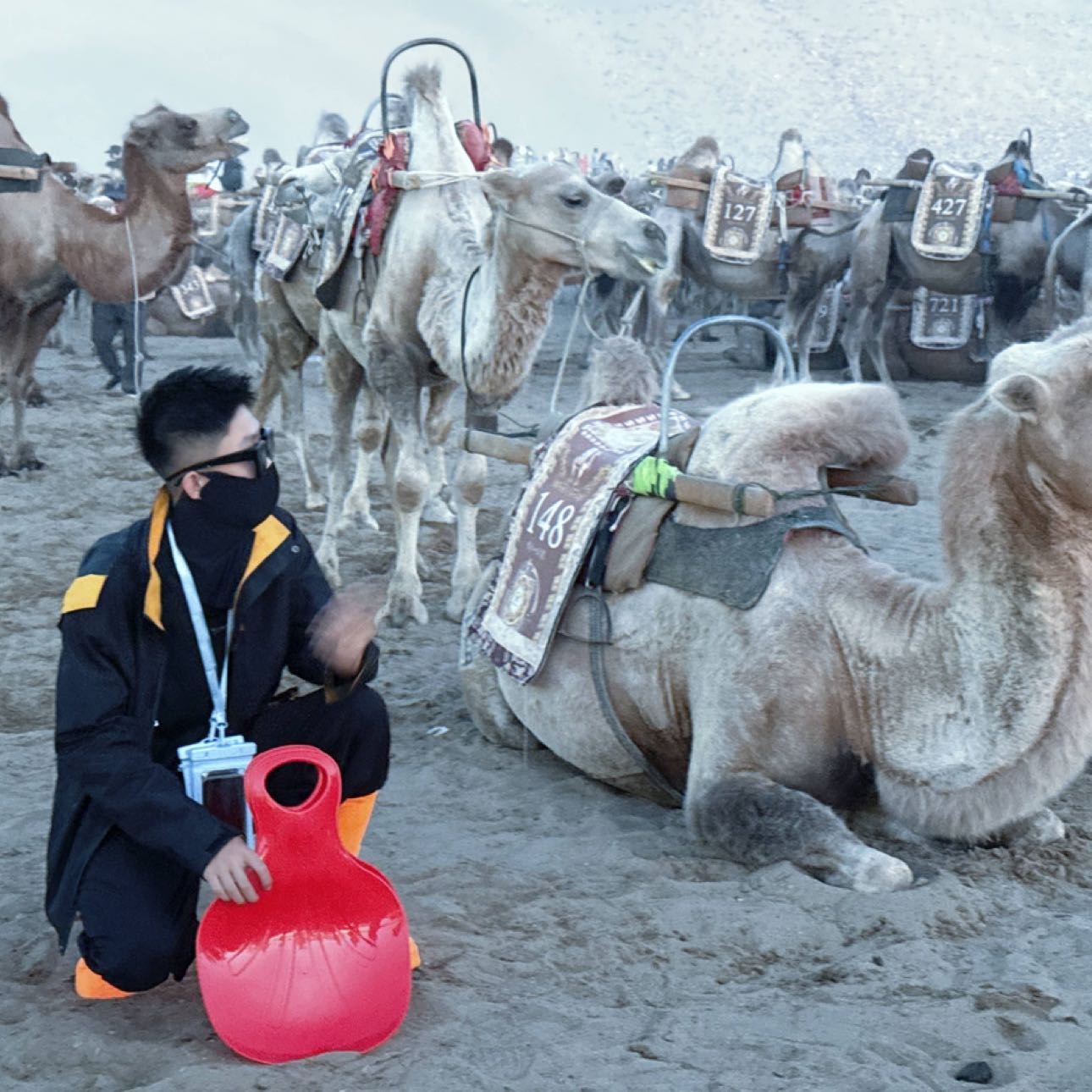 瑞瑞有策略