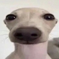 I’m going to take a look and see what’s going on.