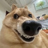 $PI  Rise is to fall even lower