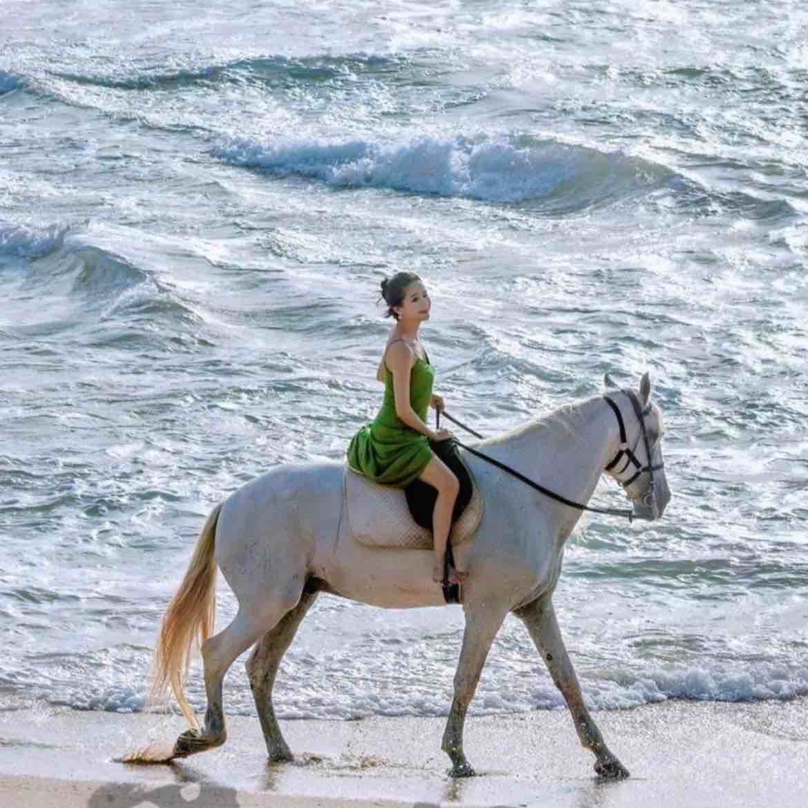 TheBearMarketHasArrived,Right?