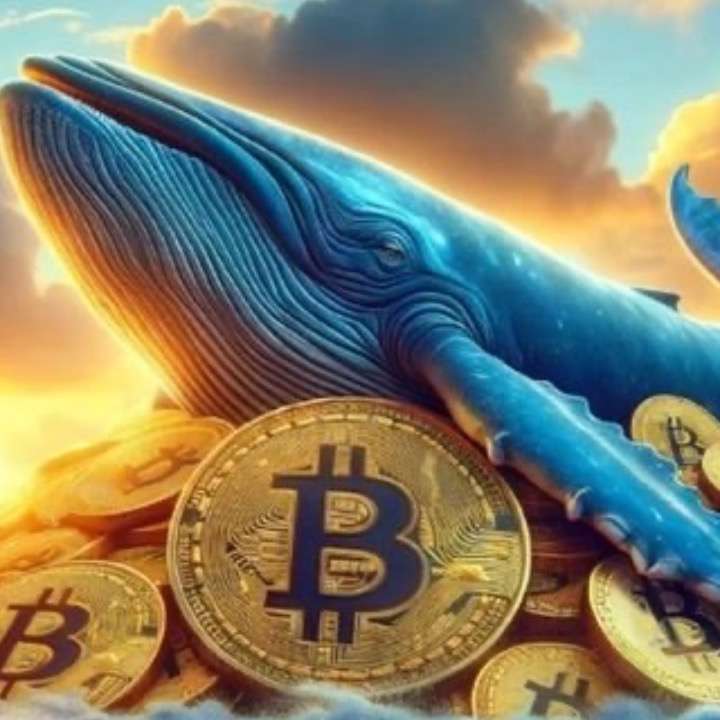 #BTC   #Bitcoin   #行情分析   #Cryptocurrency   #Bitcoin
Someone in the stairwell keeps stepping on the same step above until the wooden plank comes loose.
No one lives on the two floors below. If someone really falls, there’ll need to be someone there to catch them.
I bet someone will. I also bet that before then, a few people running upstairs with their eyes closed will be scared to tears. 