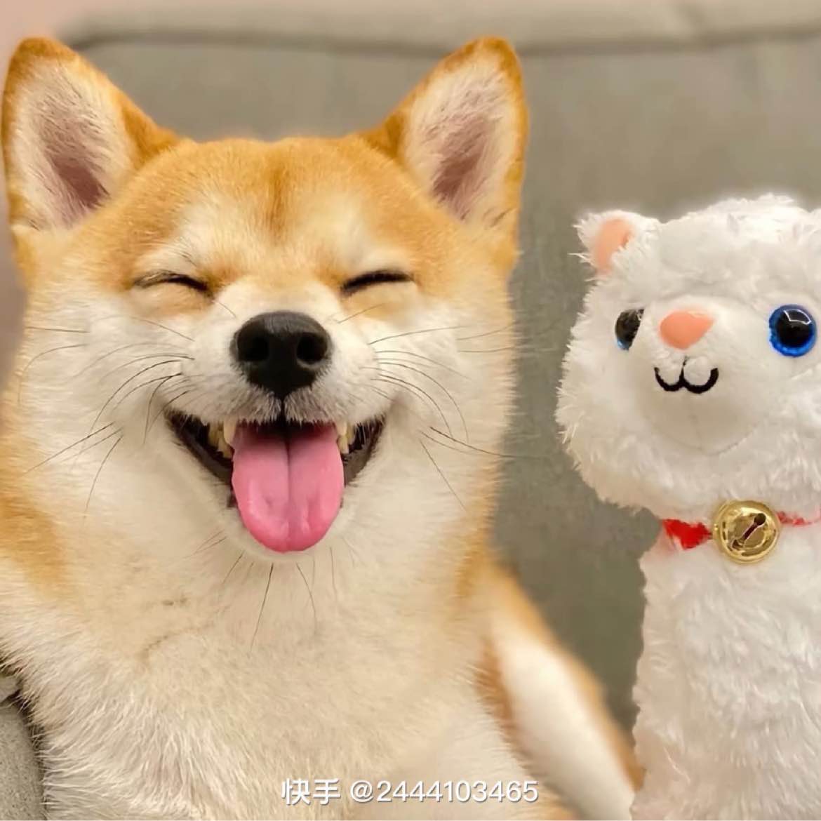 #数字资产动态追踪 $BTC $ETH $SOL The impact of US policy orientation on the cryptocurrency industry has always been a focus of market attention. When a country explicitly states its intention to compete for the position of "global crypto hub," policy tilt often drives opportunities across the entire ecosystem. Once relevant measures are implemented, the market generally expects to form a policy premium—this means the entire crypto ecosystem could experience cyclical dividends. Conan Coin, due to its deep connection with the US policy tilt direction, has become a key focus for investors and is considered most likely to gain a first-mover advantage during the policy window.