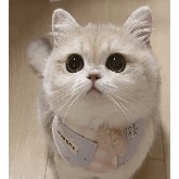 Gate Plaza｜3/5 Today's Topic: #比特币创下近一月新高 
🎁 Analyzing Market Trends, Win 5 Lucky Draws for a $2,500 Position Experience Voucher!
As the White House announced it has submitted President Kevin Waugh's nomination to the Senate for Federal Reserve Chair, the U.S. Senate did not pass the vote to stop Trump's Iran sanctions, Bitcoin hit a new high since February 5th early this morning, reaching up to $74,050, and the total cryptocurrency market cap rebounded to break through $2.538 trillion.
💬 This Week's Hot Topics:
1️⃣ Does Kevin Waugh's nomination indicate an increasing expectation of rate cuts?
2️⃣ At this critical point, are you holding your coins and waiting for gains, riding the trend, or preparing to reposition during the pullback?
Share your views and win great prizes 👉️ https://www.gate.com/post 
📅 3/6 15:00 - 3/8 12:00 (UTC+8)