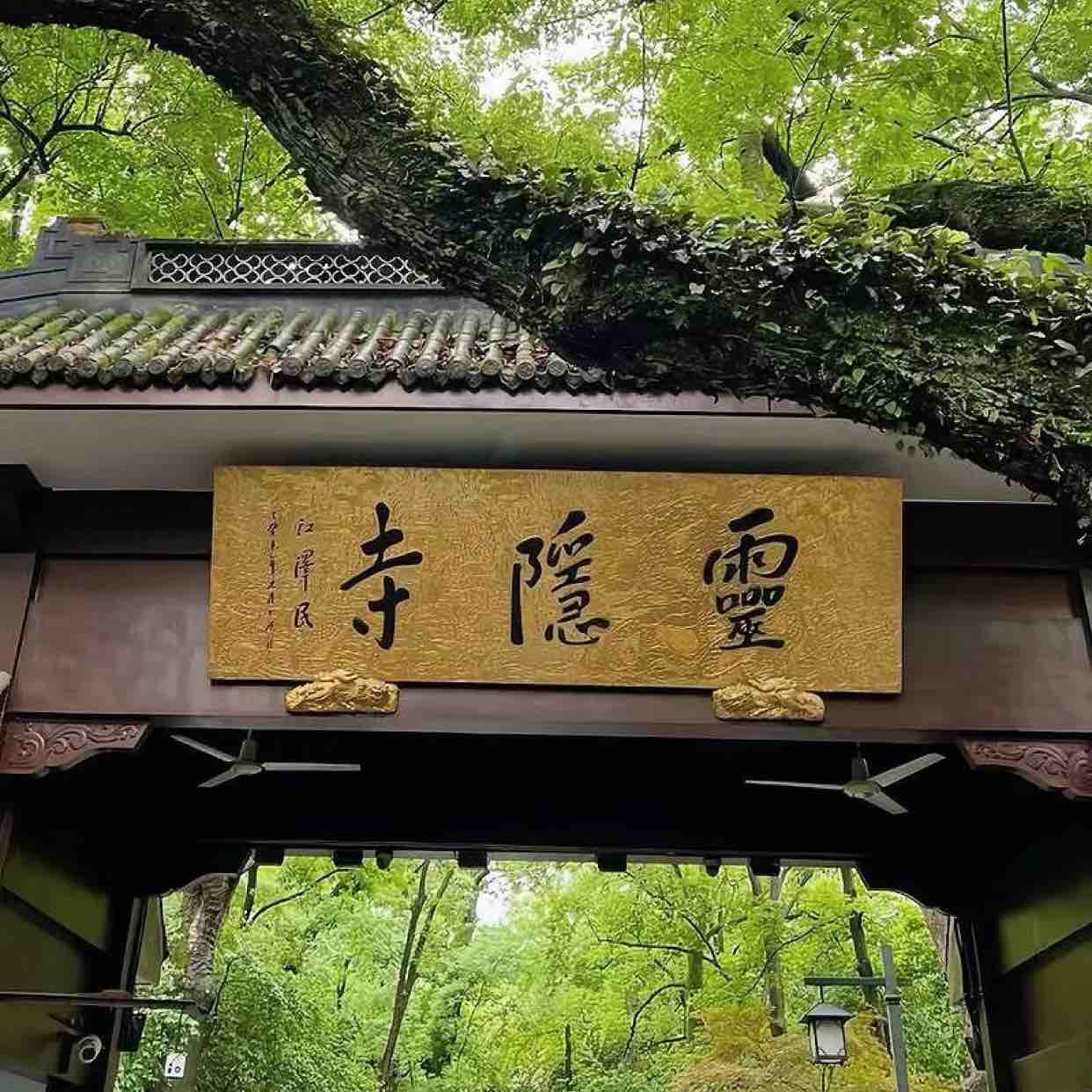 踊跃攀登