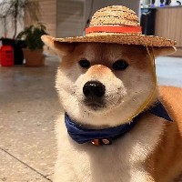 host_avatar