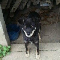 yulin512323