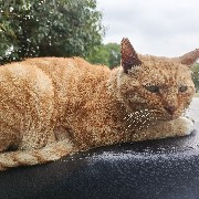 Now, hold onto ETH, BTC, and SOL in spot trading. By the end of the year, you will thank me. $BTC $ETH 