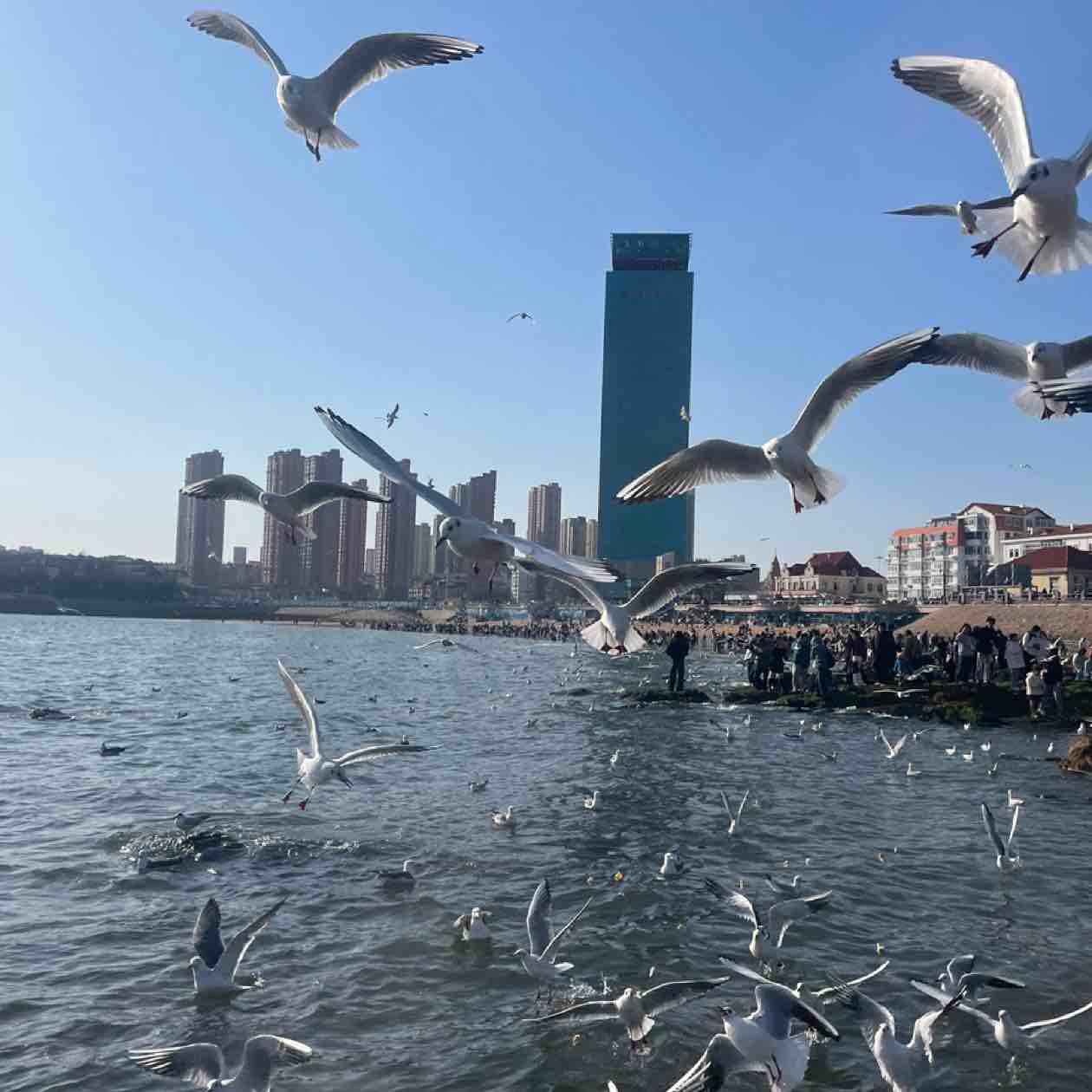 $PI  Can it be more now?