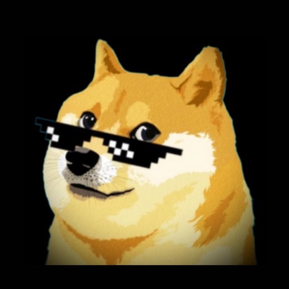 Dogecoin is now the sole crypto payment remnant on Tesla website with all Bitcoin references removed.  Signaling ongoing preparation for potential activation. 