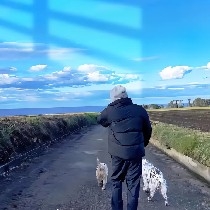 TrendJiaoLong