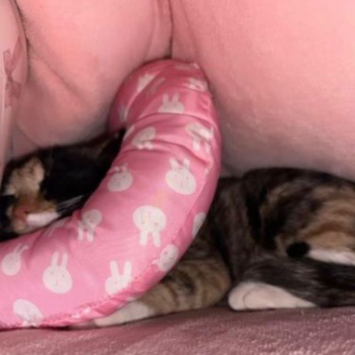 $PI  What can torment you is not price fluctuations, but your illusions and expectations. Opening the exchange every day, checking the prices, and browsing the discussion forums have become second nature. Thinking that your coins will someday rise to your imagined price, then selling out, returning home in glory, living in a big villa, driving luxury cars, no longer needing to hustle for small gains, fantasizing about future life, getting used to lying flat, losing fighting spirit, and escaping reality. Currently, the economic environment is sluggish. Please consume rationally and invest with your spare change. Don't empty your family’s savings just for faith. Be passionate about life; if the project doesn't take off, it won't affect your life.