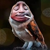 Oyde